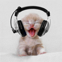 Kucing Headset